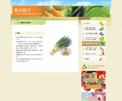 長崎大玉分葱の画像