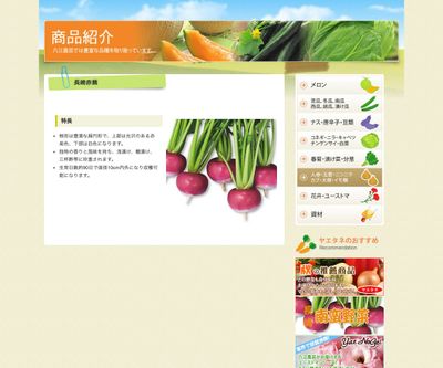 長崎赤蕪の画像