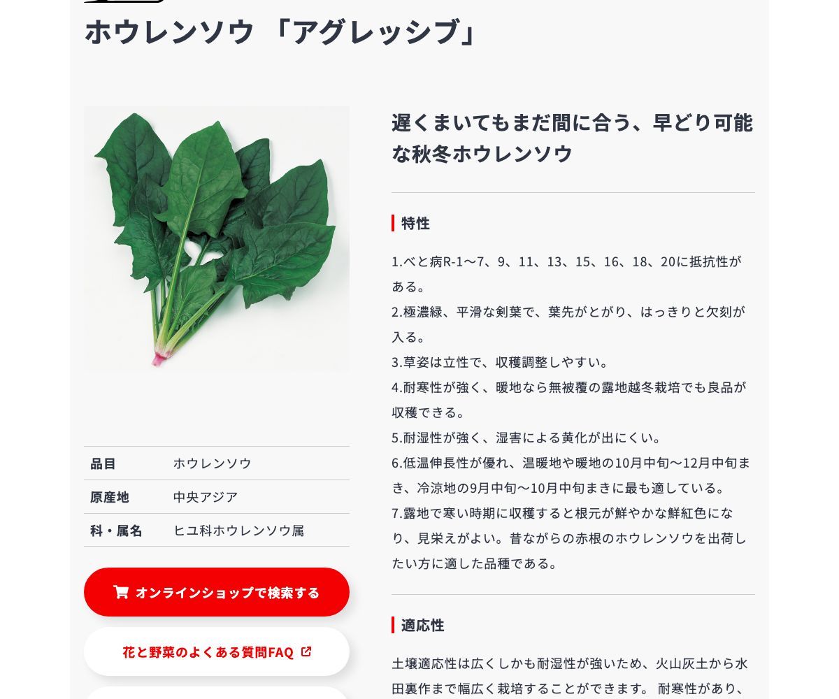 アグレッシブ