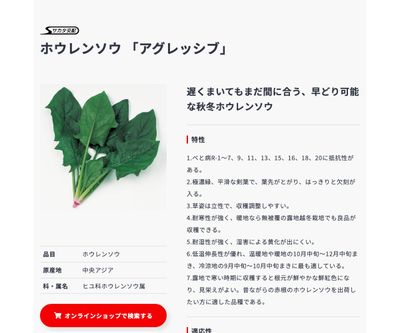 アグレッシブの画像