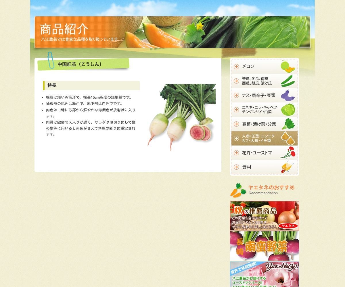 中国紅芯（こうしん）