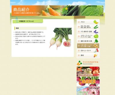 中国紅芯（こうしん）の画像