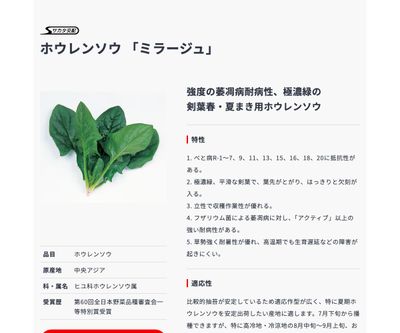 ミラージュの画像