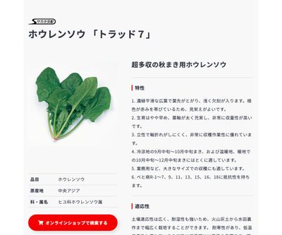 トラッド７の画像