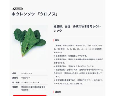 クロノスの画像