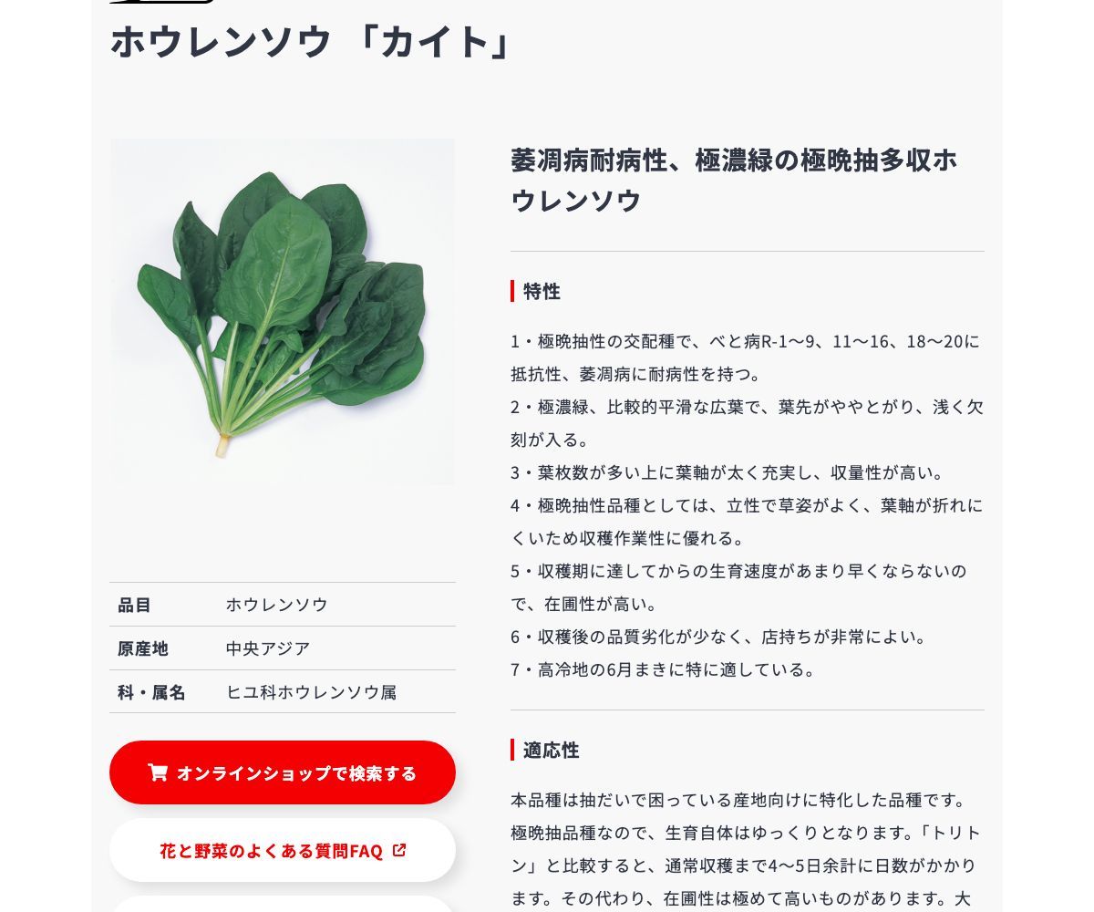 カイト