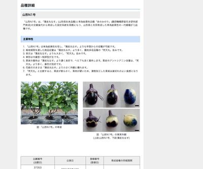 山形N1号の画像