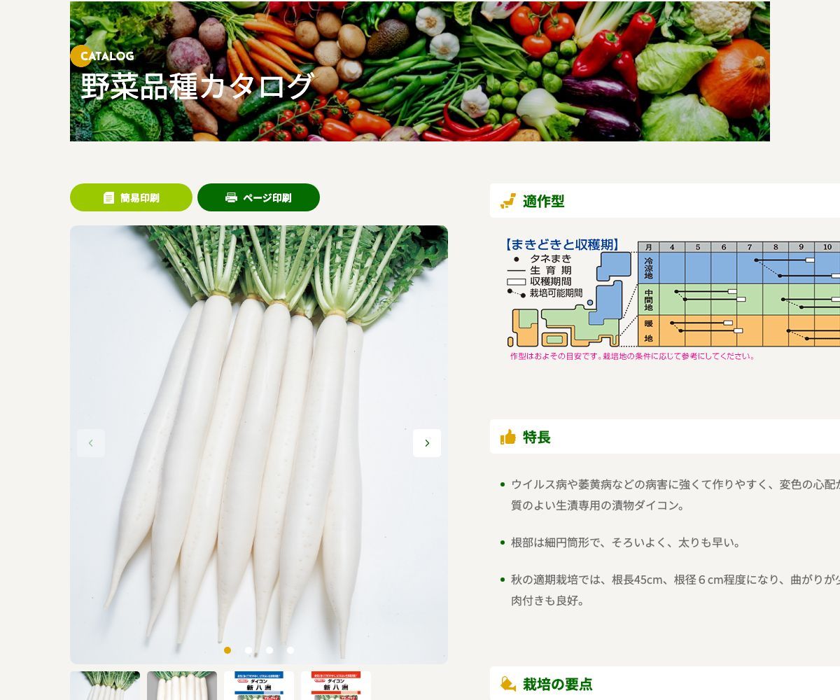 新八洲