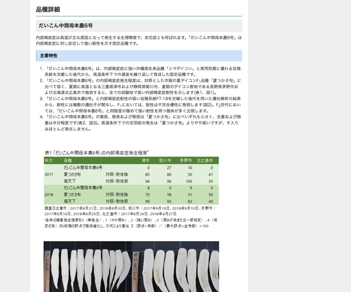 だいこん中間母本農6号