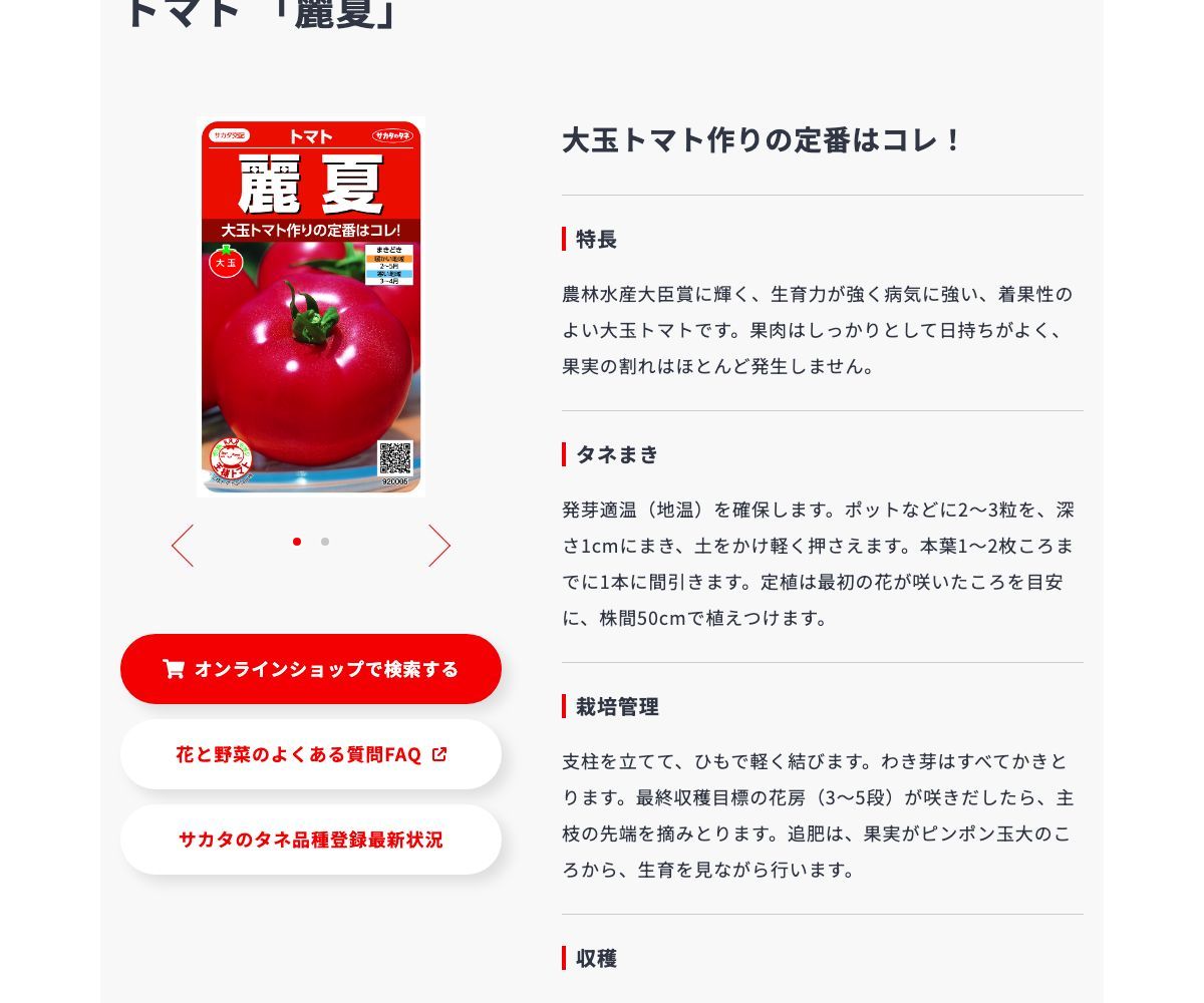 麗夏