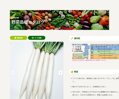 耐病干し理想の画像