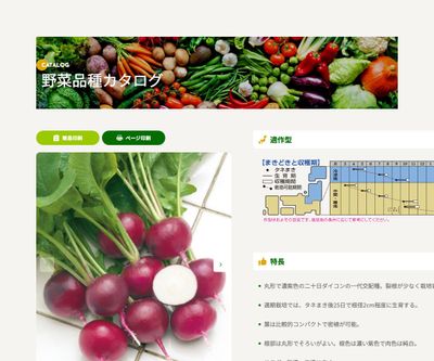 ルビーコメットの画像