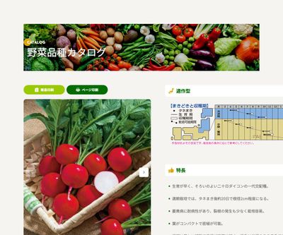 ニューコメットの画像