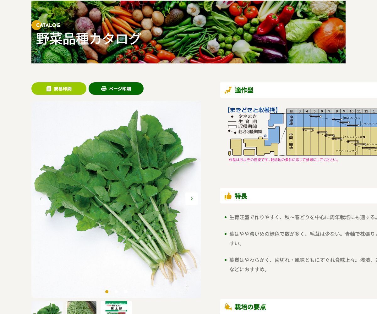葉太郎