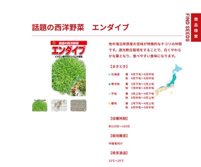 エンダイブの画像