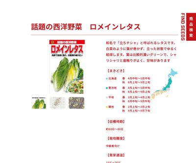 ロメインレタス