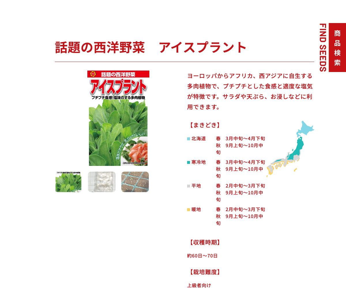 アイスプラント