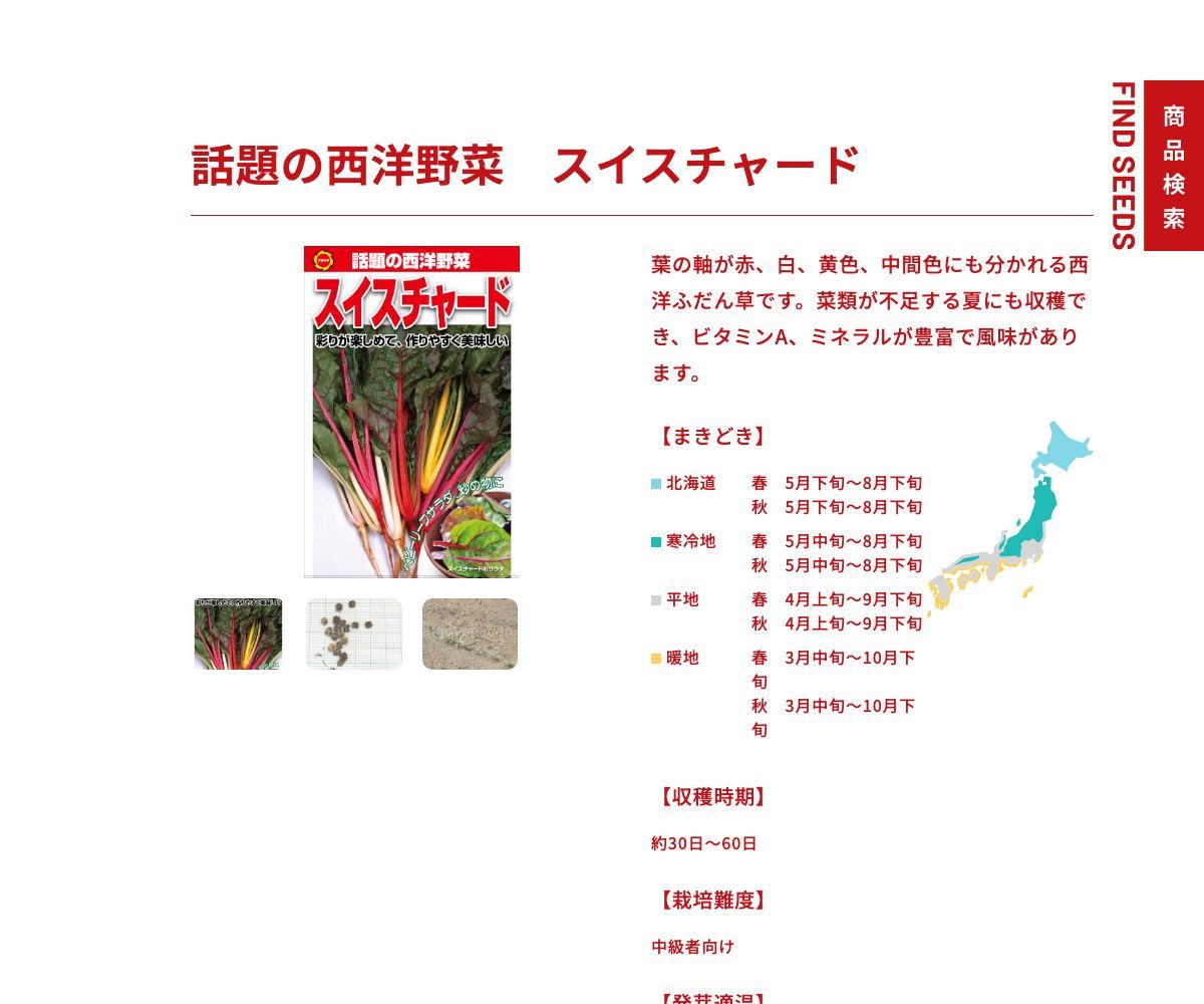 スイスチャード