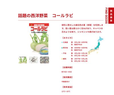 コールラビの画像