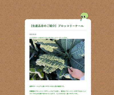 ブロッコリーケールの画像