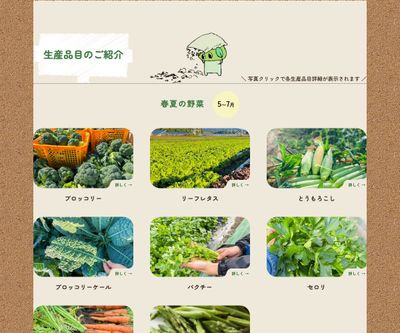 トンガレアの画像