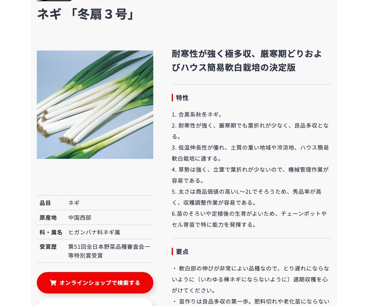 冬扇3号