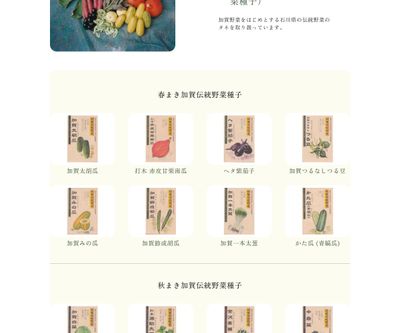 加賀節成胡瓜