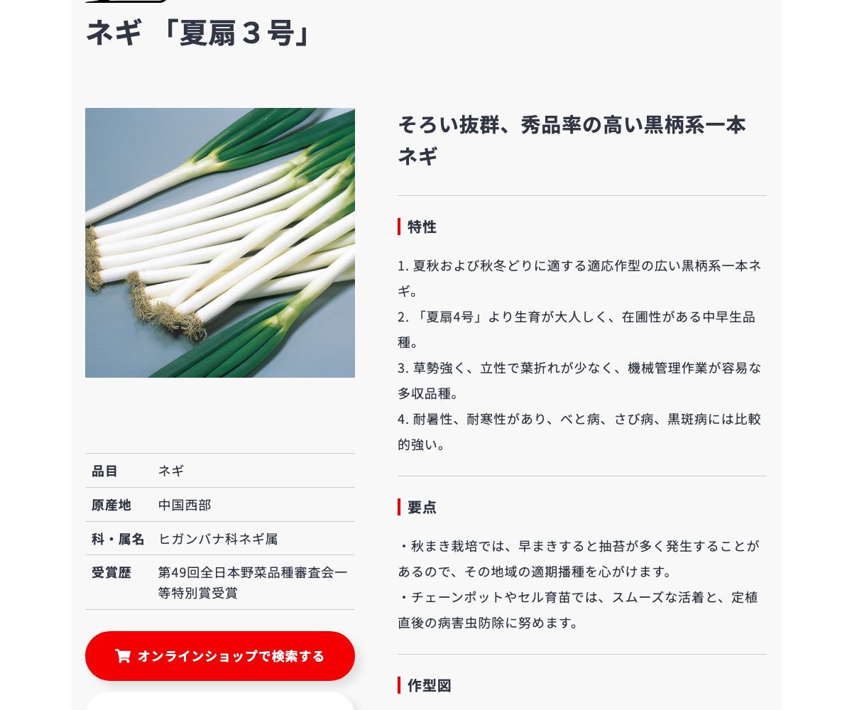 夏扇3号