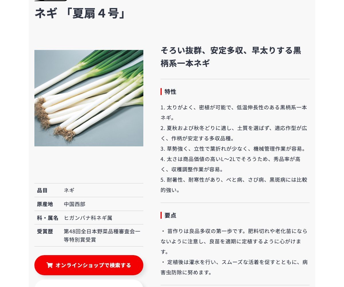 夏扇4号
