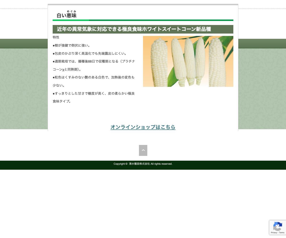 白い恵味めぐみ