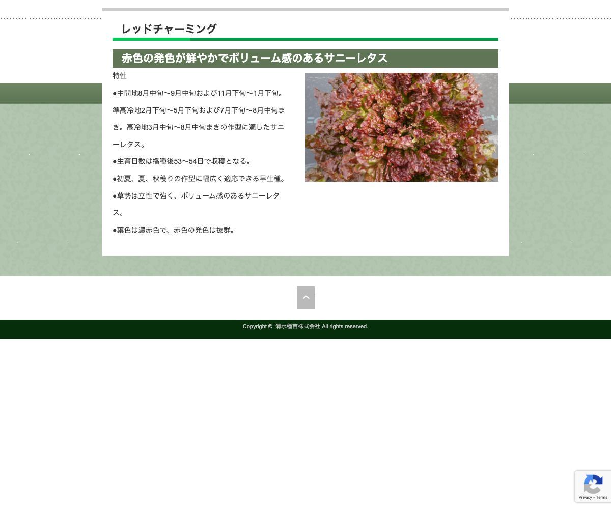 レッドチャーミング