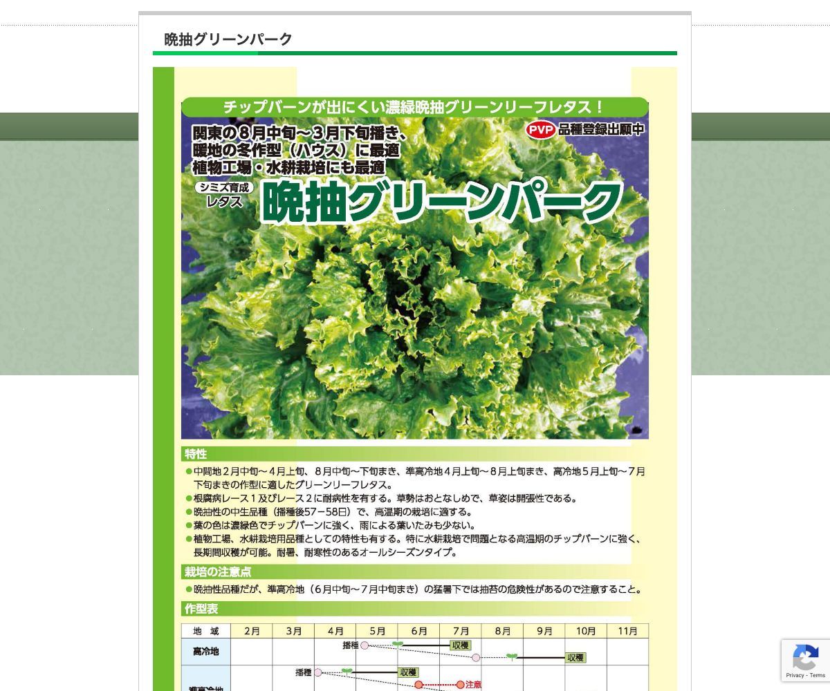 晩抽グリーンパーク