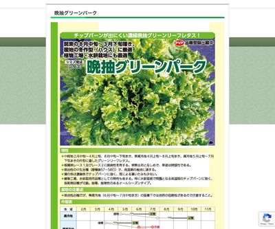 晩抽グリーンパークの画像