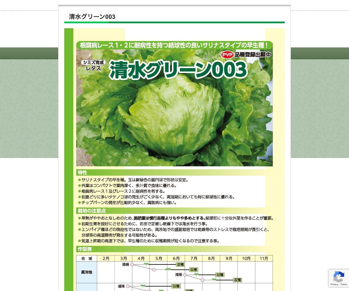 清水グリーン003