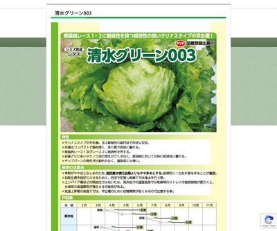 清水グリーン003