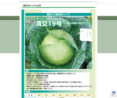 清交19号の画像