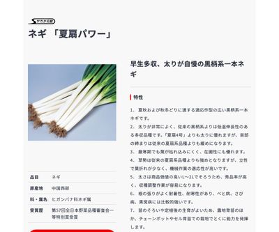 夏扇パワーの画像