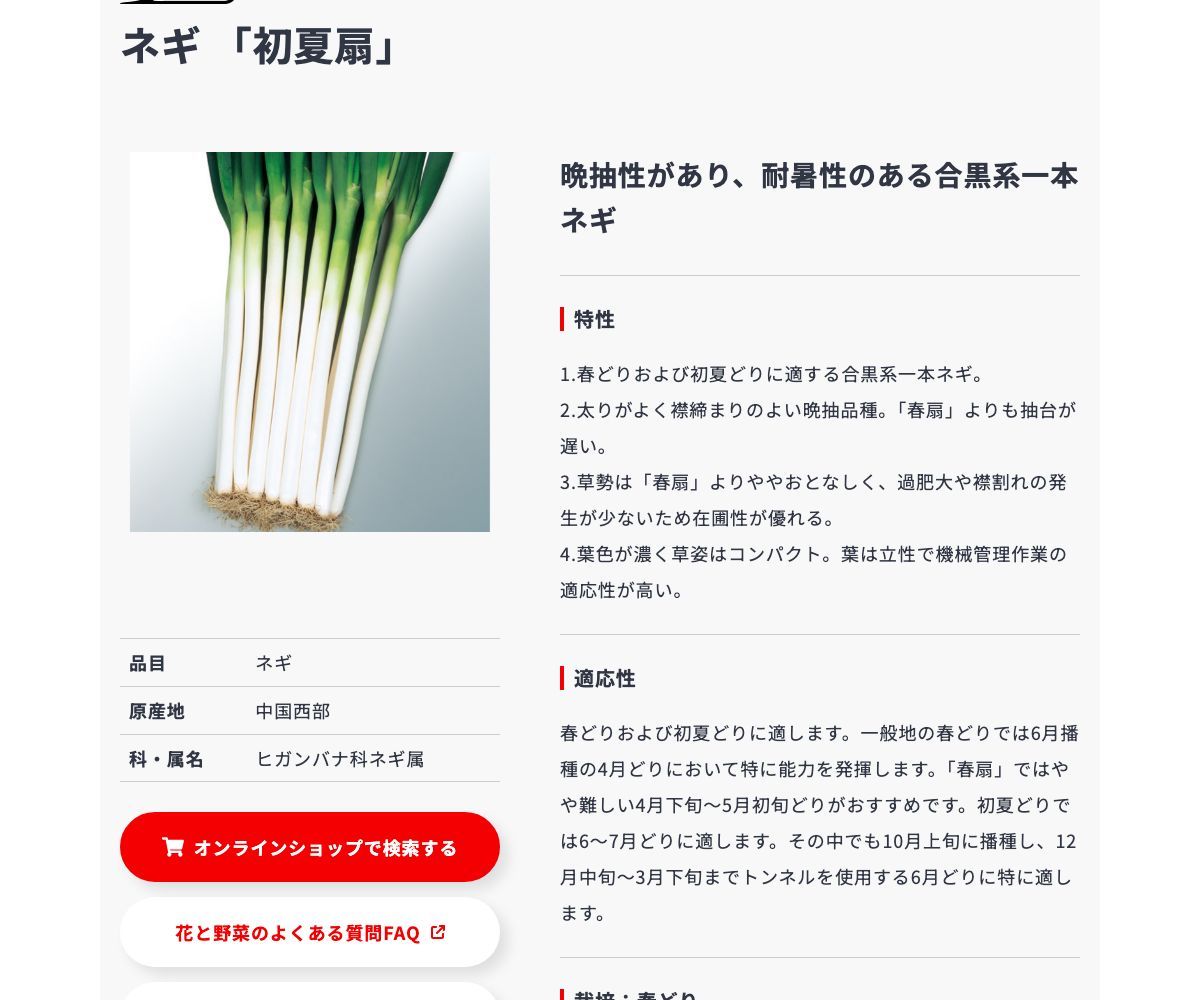 初夏扇