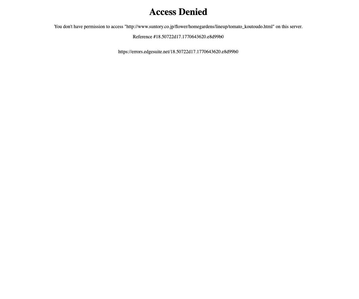 純あま＜高糖度接木＞