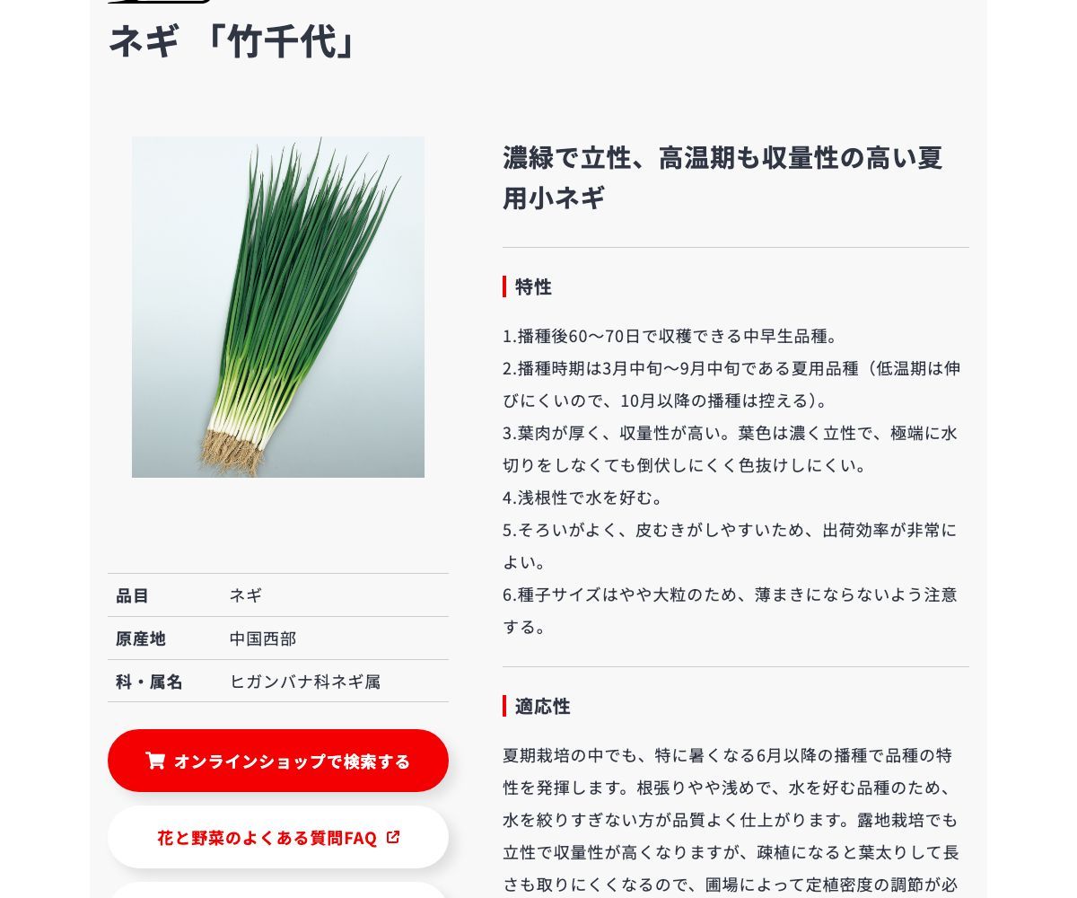 竹千代