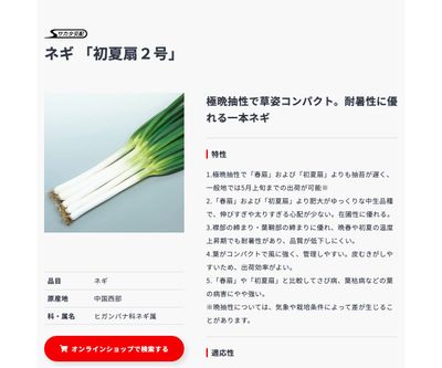 初夏扇２号の画像