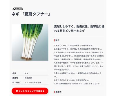 夏扇タフナーの画像