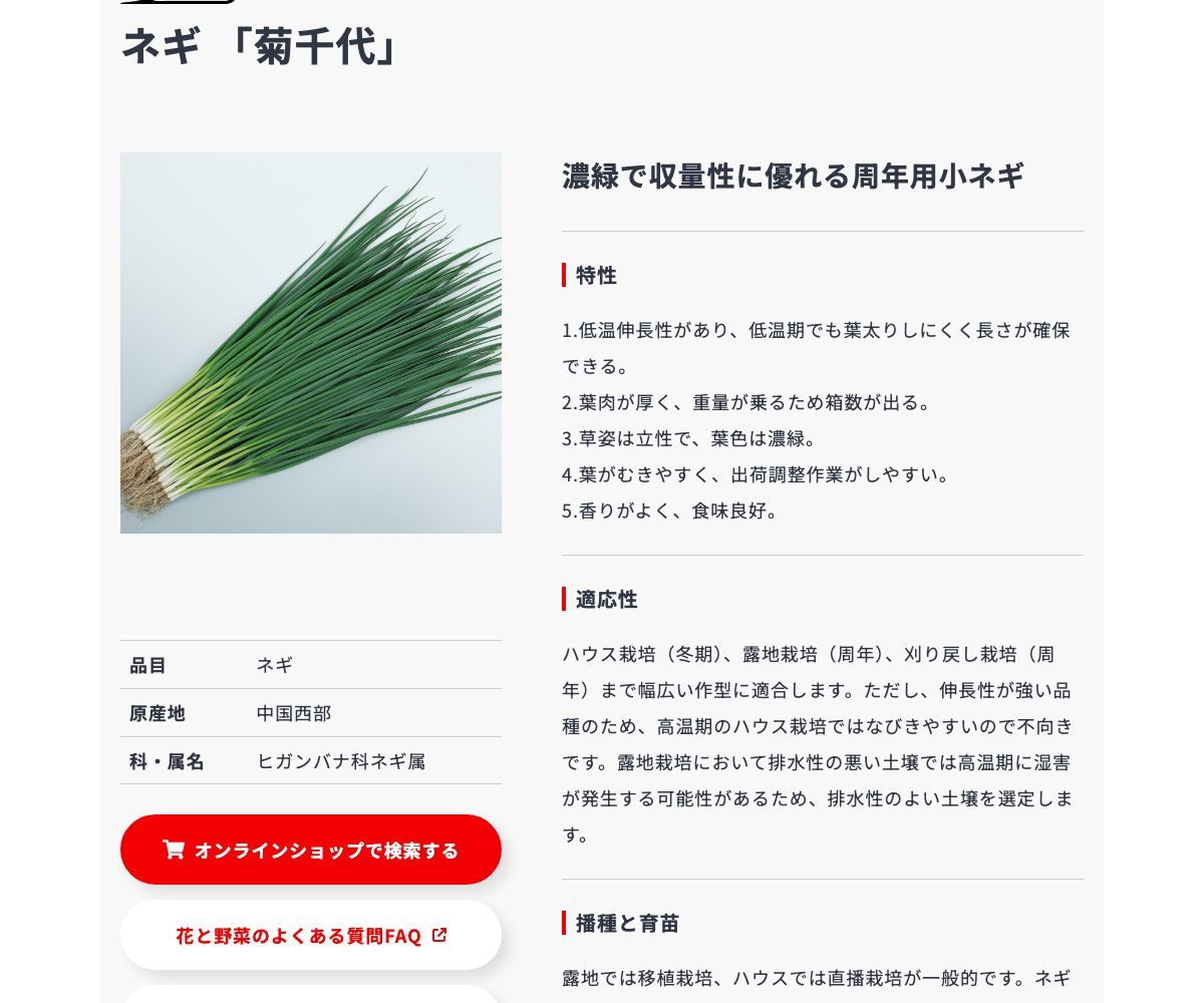 菊千代