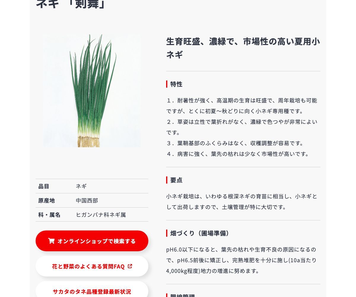 剣舞