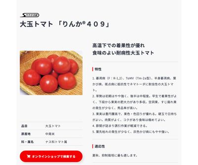 りんか®４０９の画像