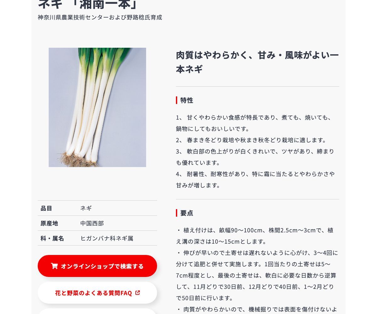 湘南一本