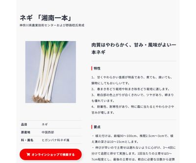 湘南一本の画像