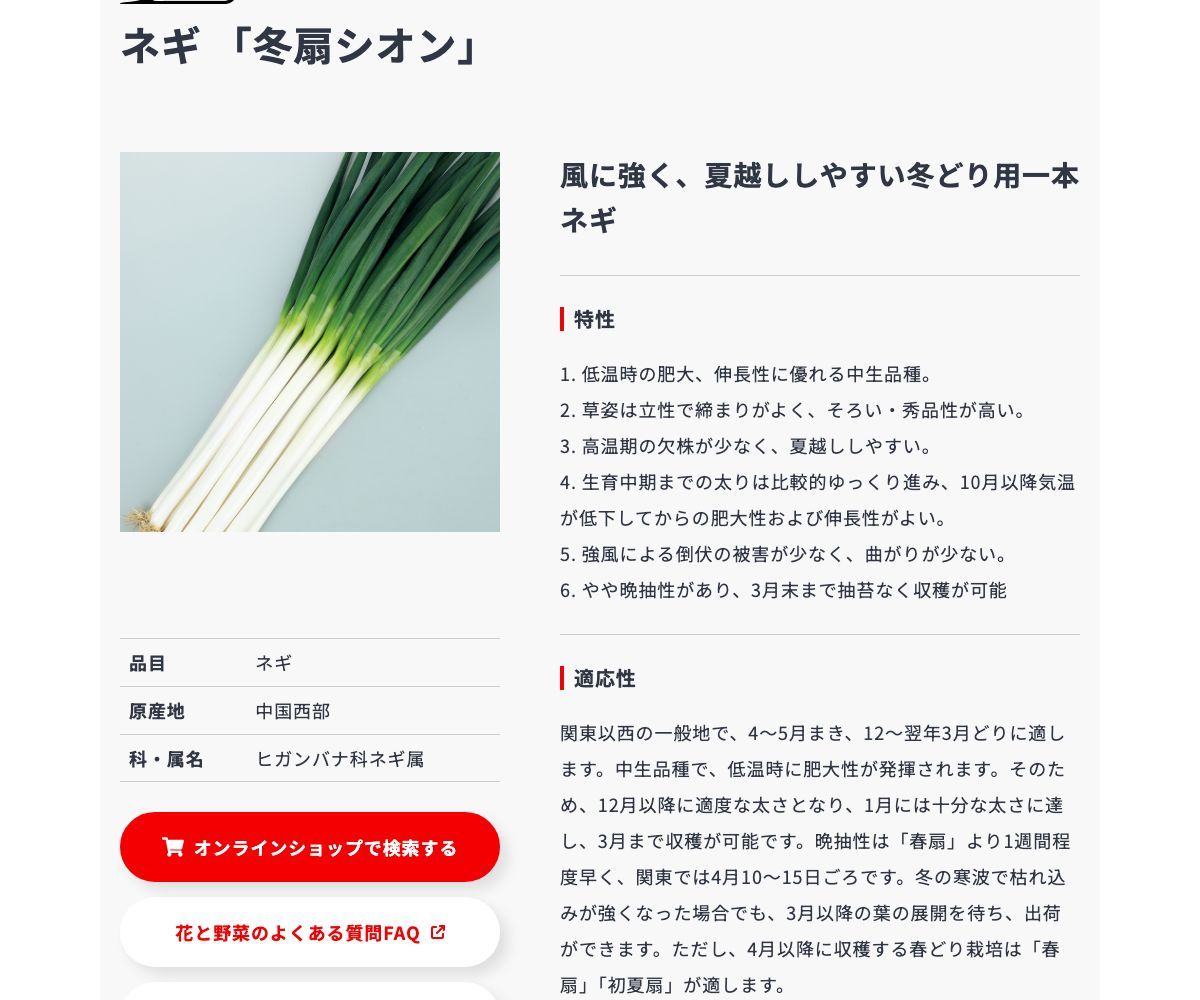 冬扇シオン