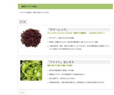 サマーレッドの画像