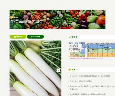 耐病総太りの画像